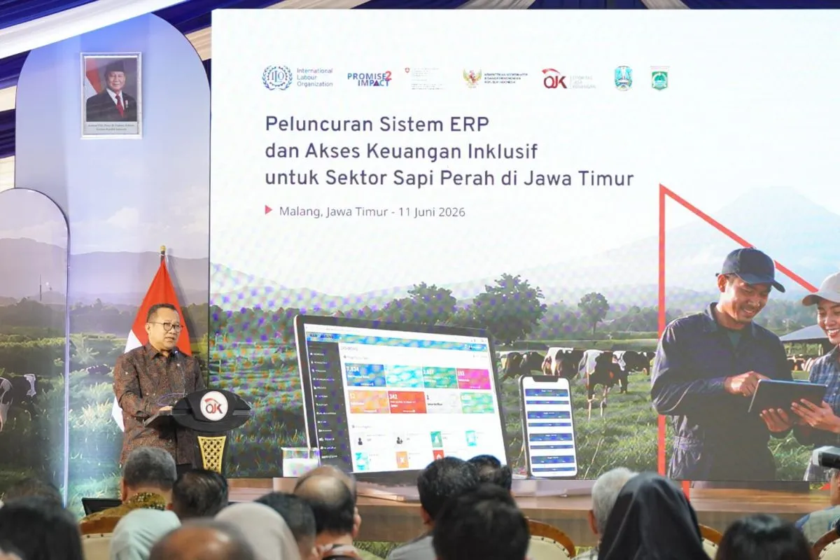 OJK-ILO Digitalisasi Data Peternak Sapi Perah di Jawa Timur
