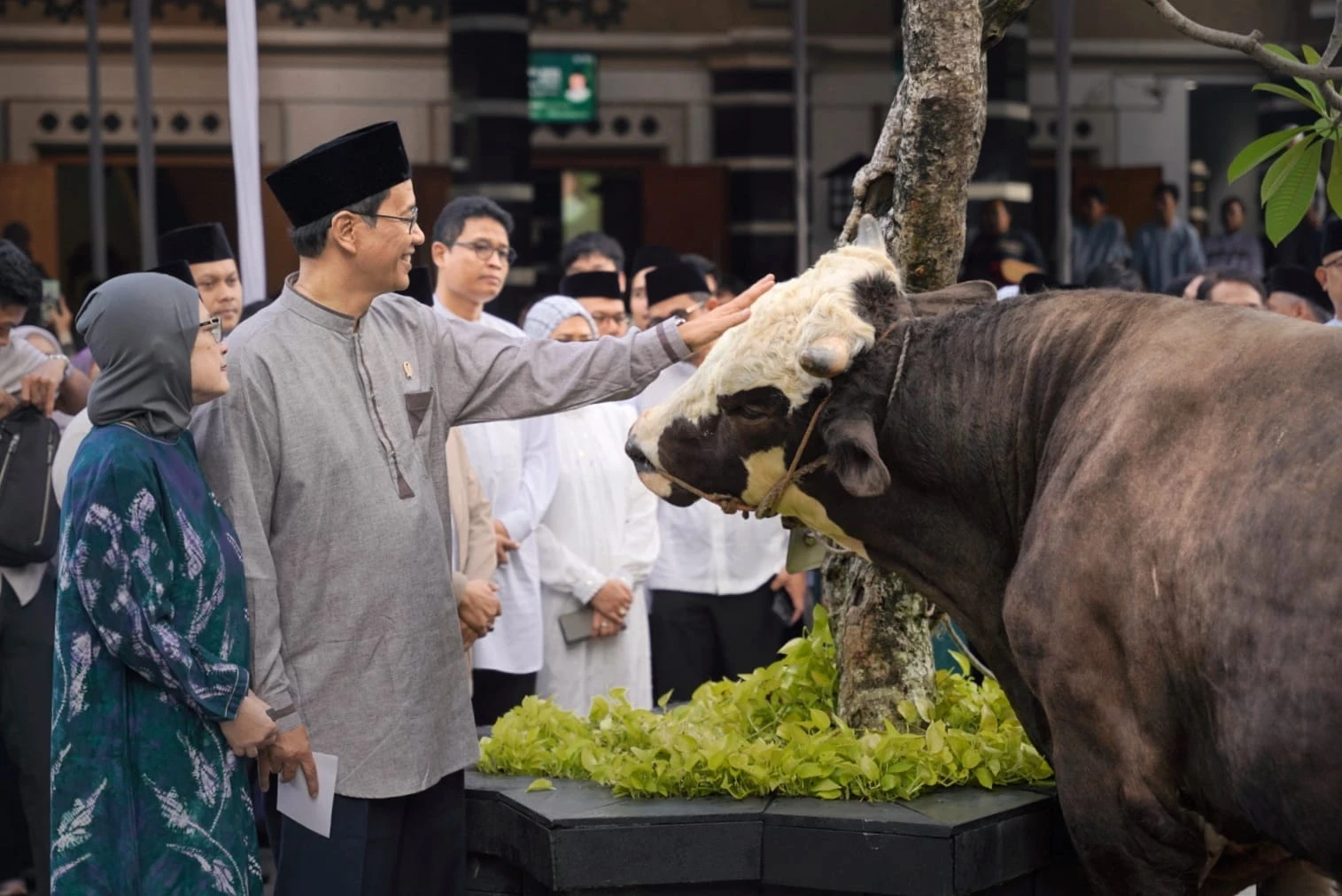 Menkeu Purbaya Yudhi Sadewa Serahkan Sapi Simental 868 Kg di DJP