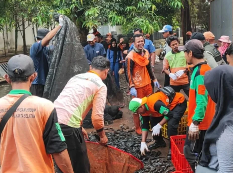 Pemprov DKI Gelar Pembersihan Kali Massal, Ikan Sapu-sapu Berlogam Berat Dimusnahkan