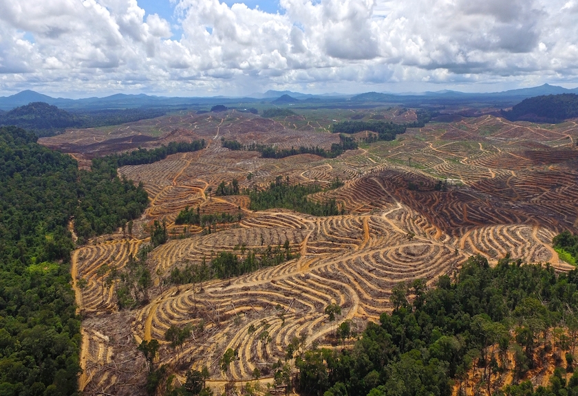 Deforestasi di Kalimantan Tengah