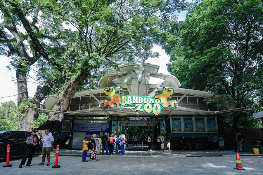 KDM Tawarkan Kebun Binatang Bandung Dikelola Pemprov Jabar