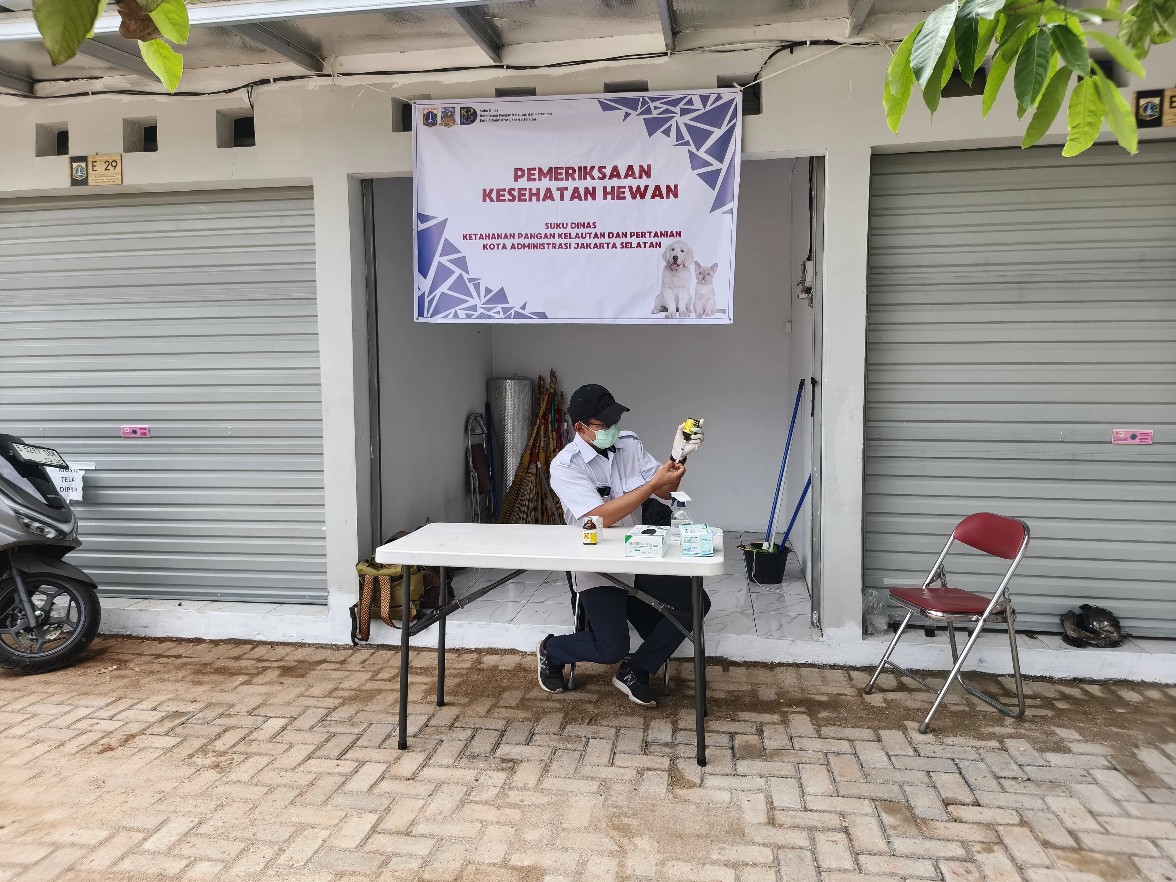 Sudin KPKP Jaksel: Periksa Kesehatan Hewan Gratis di Sentra Fauna Bisa Dimanfaatkan Warga