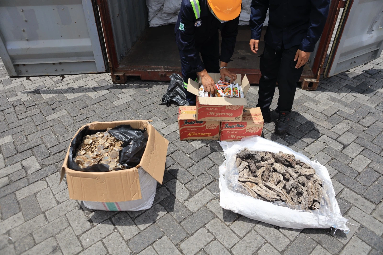 Bea Cukai Gagalkan Ekspor Sisik Trenggiling Rp183 Miliar di Tanjung Priok