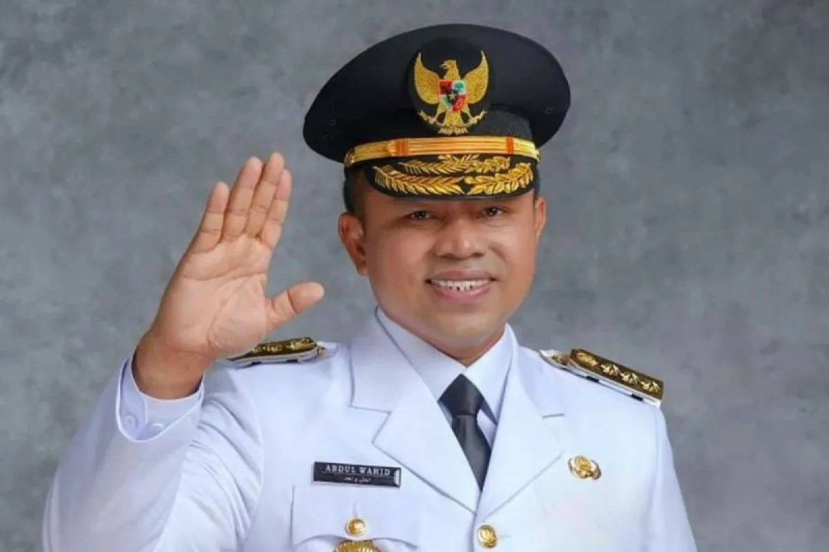 Karier Politik Abdul Wahid: Dari DPRD hingga Gubernur Riau