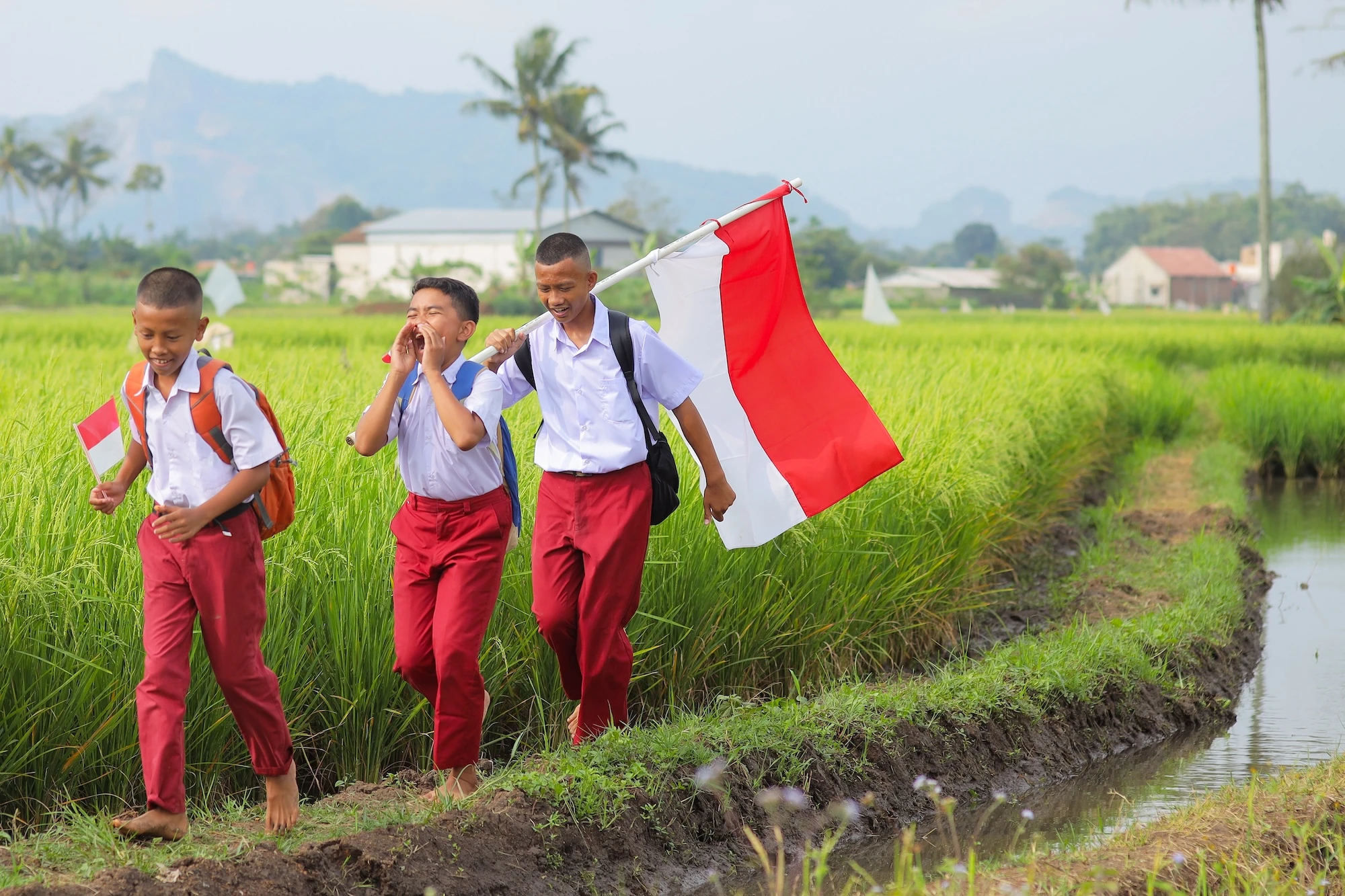 Daftar Anggaran Pendidikan APBN 2026: BGN Tertinggi Rp223,56 Triliun