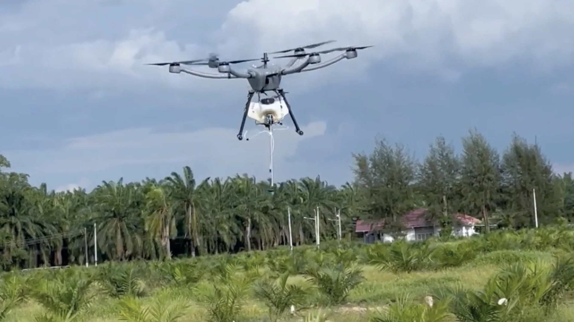 Terra Drone Ungkap Cara Baru Pemetaan Perkebunan Sawit Jadi Lebih Efisien dan Akurat