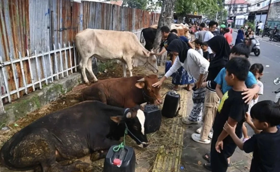 Kiat Memilih Hewan Kurban Sehat dan Sesuai Syariat Islam