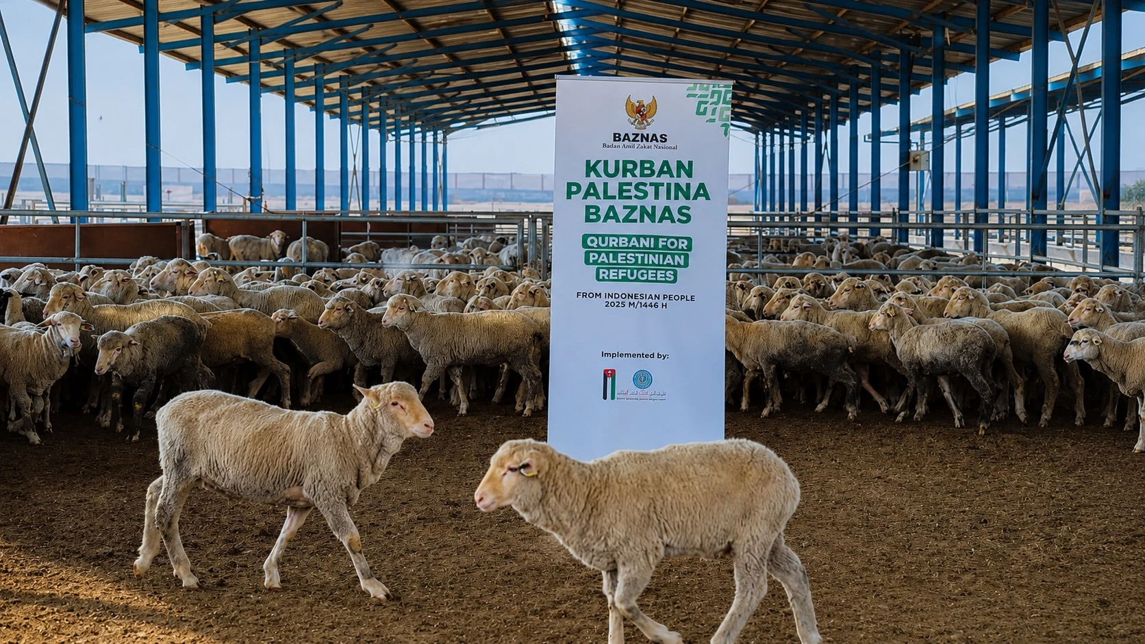 kurban berkah untuk palestina, baznas,