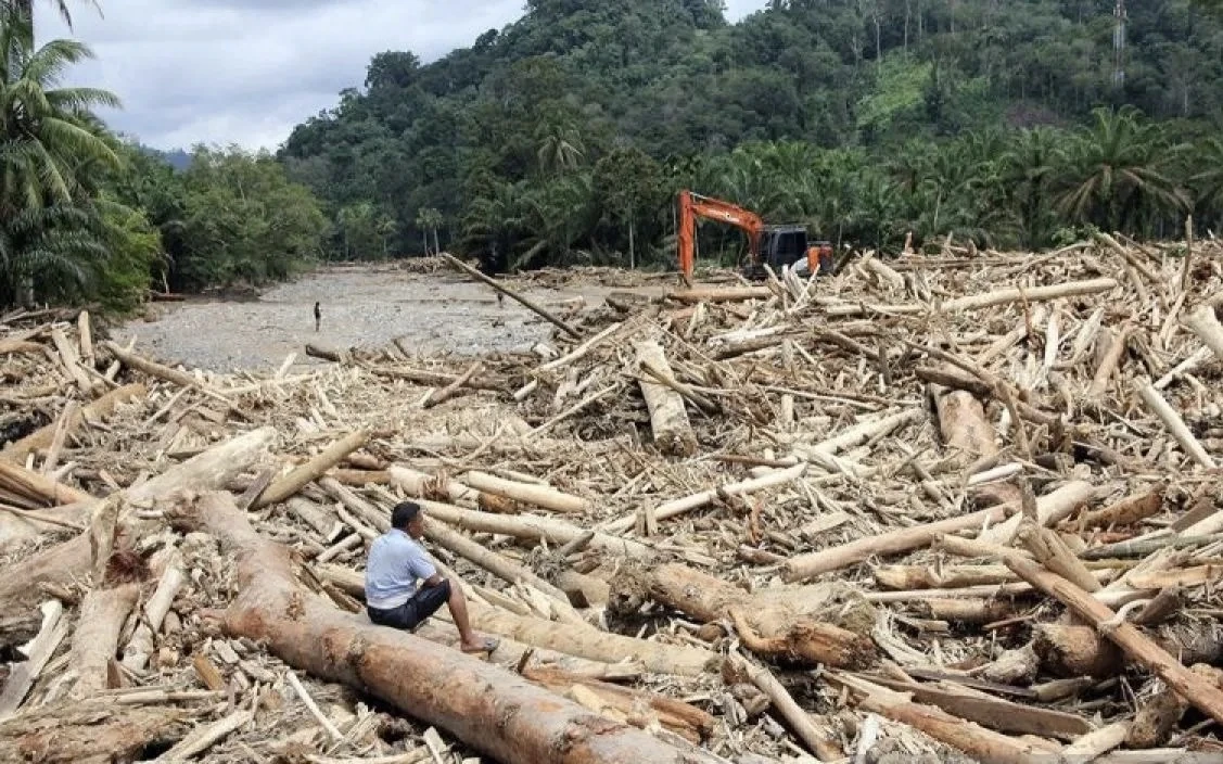 DPR: 10 Pihak Diduga Penyebab Bencana Sumatra Harus Dipidanakan