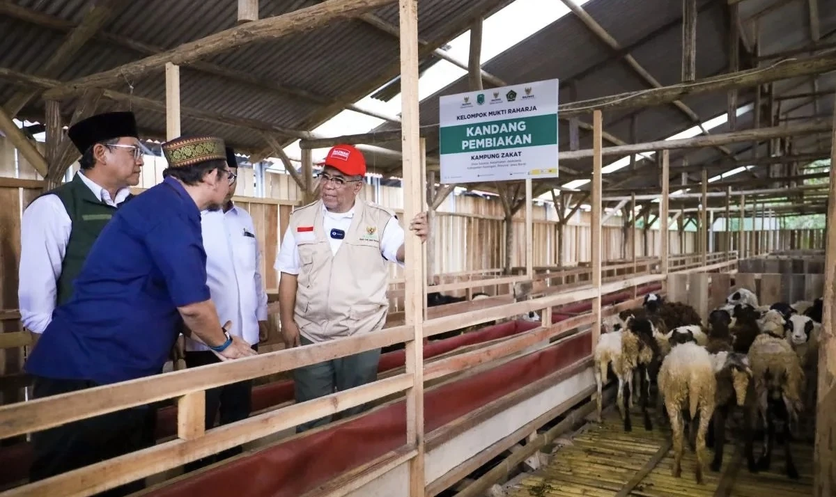 Libatkan Ribuan Peternak Desa, Baznas Tebar Kurban ke 104 Titik Nasional