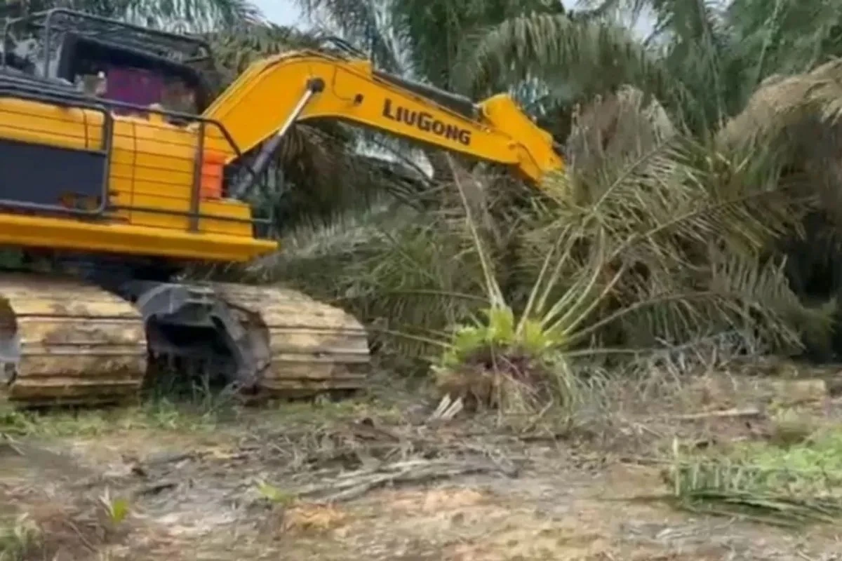 penumbanghan swait di TN Tesso Nilo