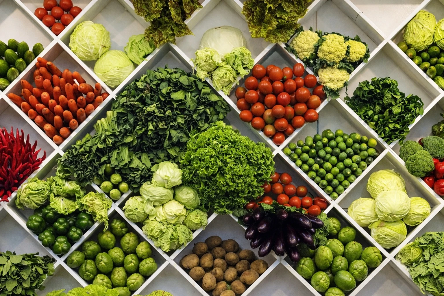 aneka sayur-sayuran kaya serat