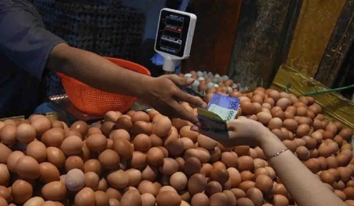 Antisipasi Inflasi Nataru, Prabowo Instruksikan Menu MBG Diganti Telur Puyuh