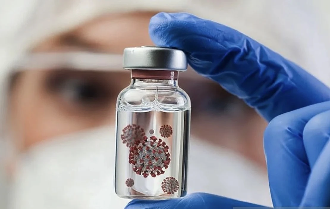 Pemprov DKI Diminta Tingkatkan Pemantauan Sistematis Virus Nipah