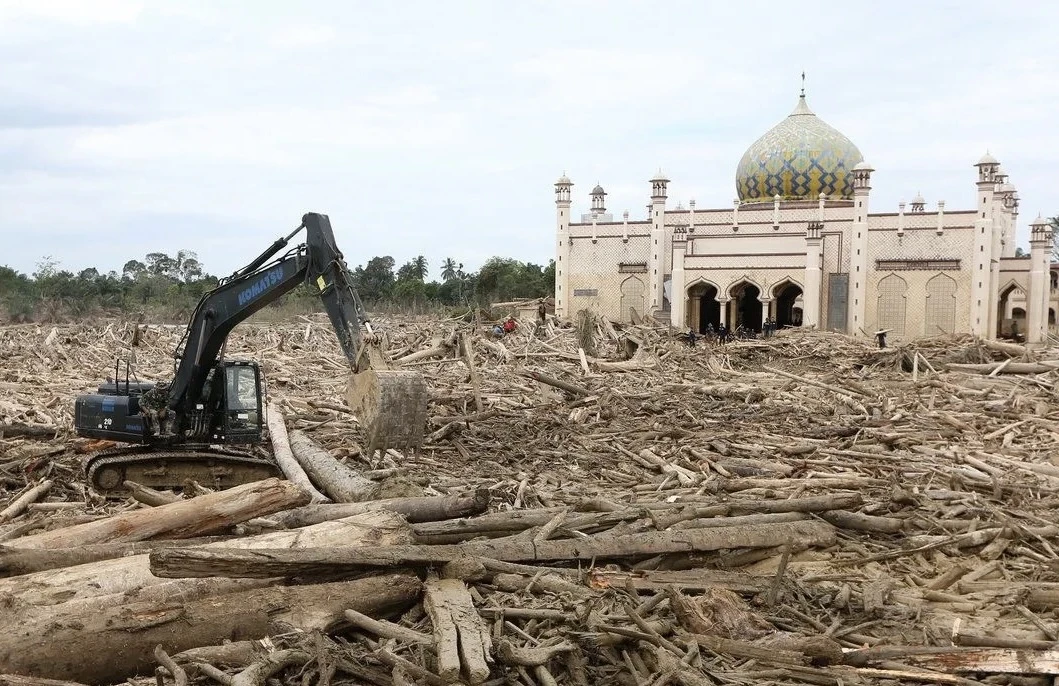Kemenhut Izinkan Masyarakat Manfaatkan Kayu yang Terbawa Banjir Sumatra