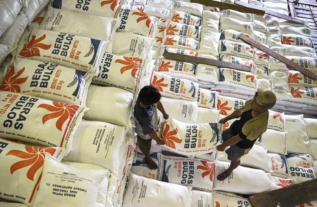Produksi Beras Indonesia Capai 34 Juta Ton pada 2025, Provinsi Mana yang Jadi Lumbung Pangan?