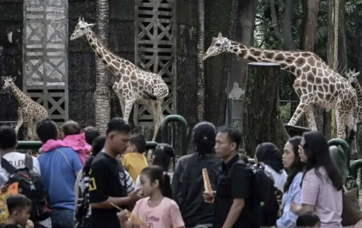 Antisipasi Lonjakan Pengunjung, Pengelola Ragunan Rekomendasikan Pilihan Transportasi Umum