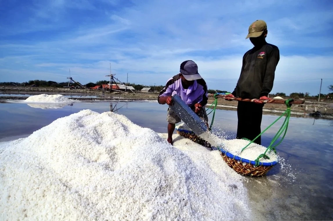 KKP Alokasikan Rp25 Miliar Untuk Revitalisasi Tambak Garam Rusak di Aceh