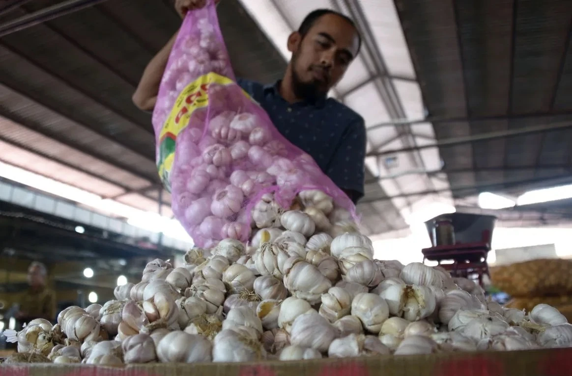 Lewati HAP, Harga Bawang Putih Dalam Tren Meningkat