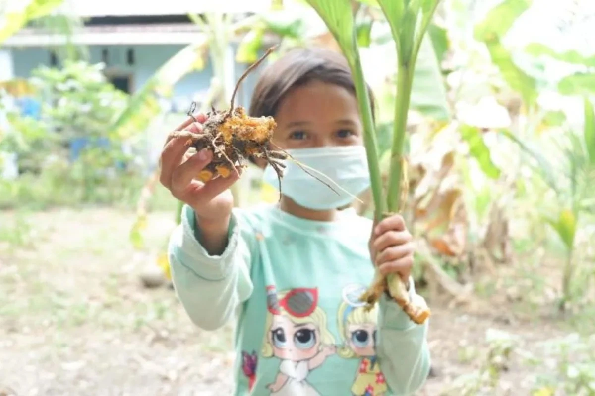 Peneliti BRIN Temukan Bakteri Antikanker di Sekitar Tanah Tanaman Kunyit