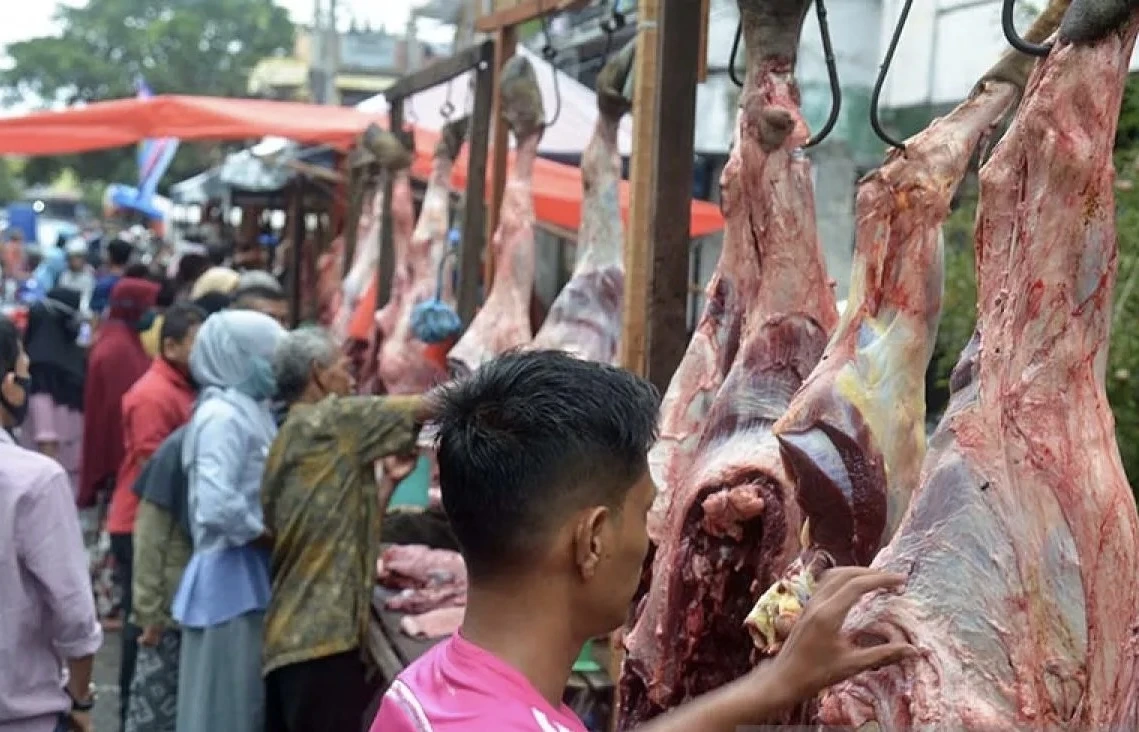 Presiden Kirim Bantuan Sapi Meugang Rp72,7 Miliar Untuk Korban Bencana Aceh