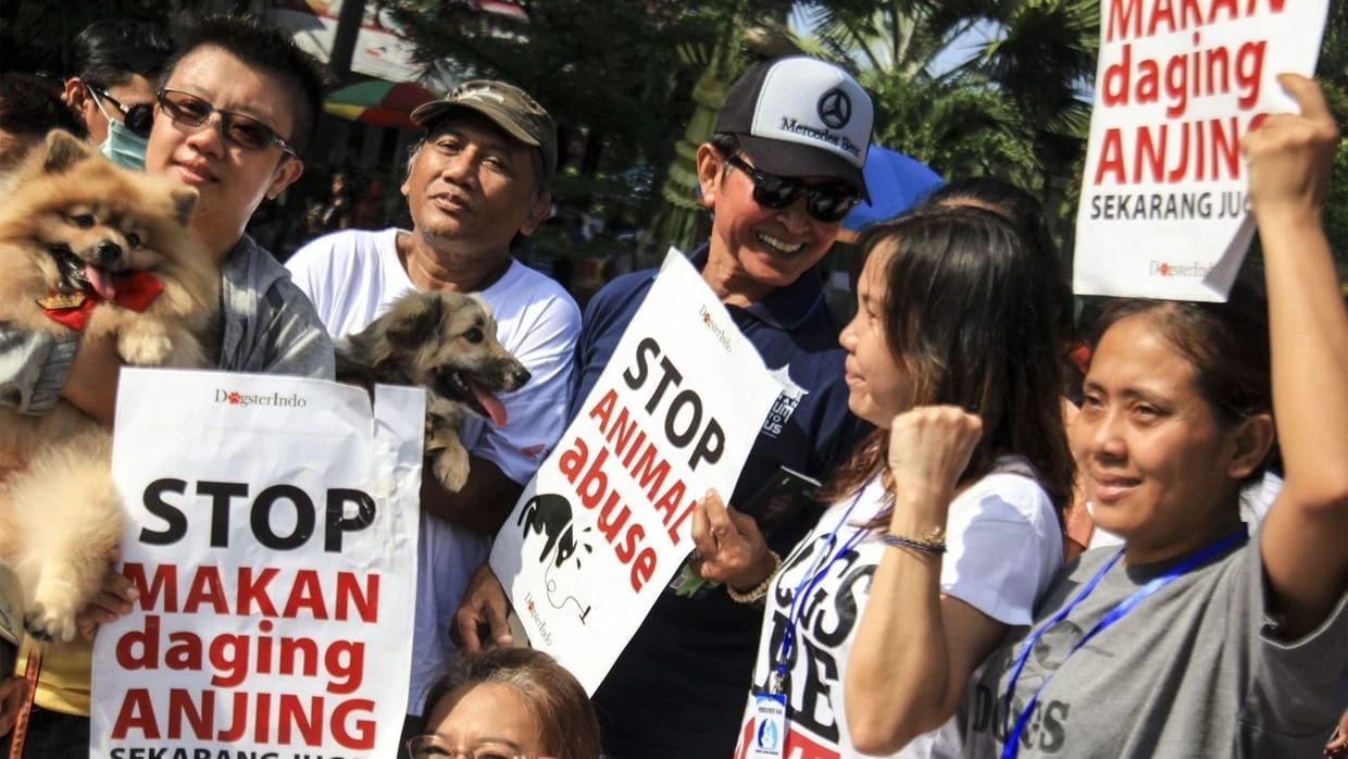 Pergub Larangan Konsumsi Daging Anjing dan Kucing di Jakarta Segera Terbit