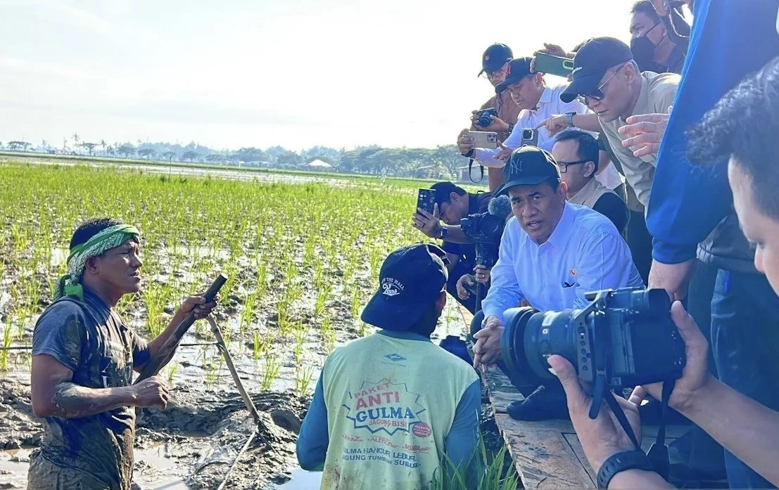 Pemerintah Pastikan Komitmennya Rehabilitasi Sawah Terdampak Bencana