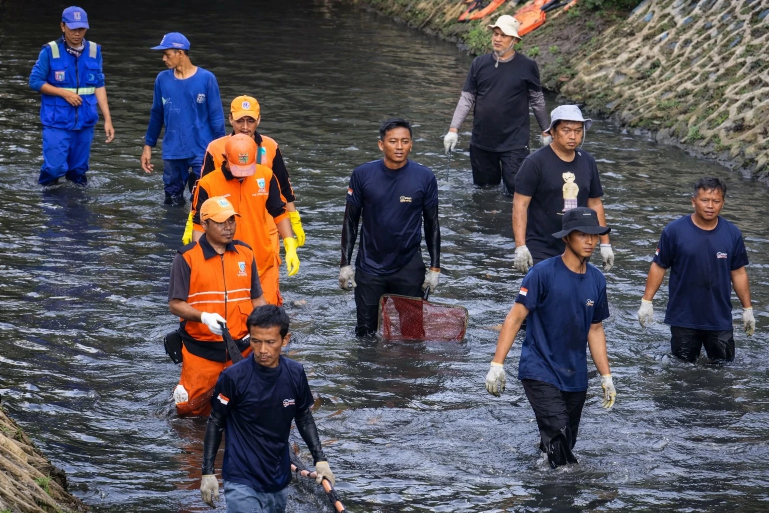 Pramono Perintahkan Pembersihan Ikan Sapu-Sapu di Seluruh Kali di Jakarta