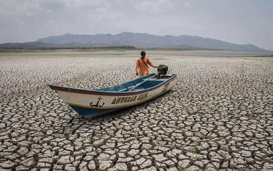 BMKG: Kemarau Tahun Ini Lebih Kering Dibanding Rata-Rata 30 Tahun Terakhir