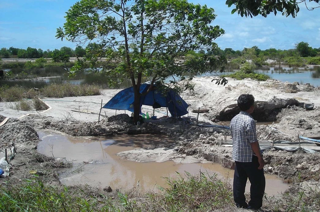 Kementan Kembangkan Tanaman Pangan di Lahan Bekas Tambang Timah di Babel