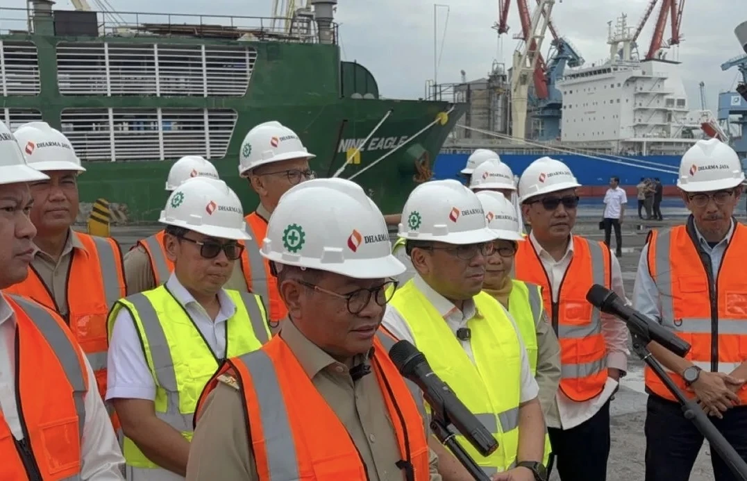 DKI Segera Siapkan Tempat Penggemukan Sapi Dharma Jaya di Ciangir, Banten