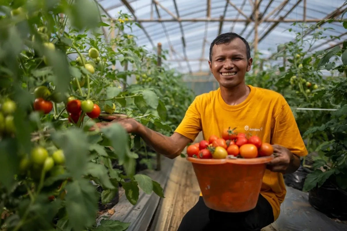 Kala Pupuk Fermentasi Keong Mas dan Urine Domba, Mampu Tekan Aktivitas Penambangan Ilegal di Bogor