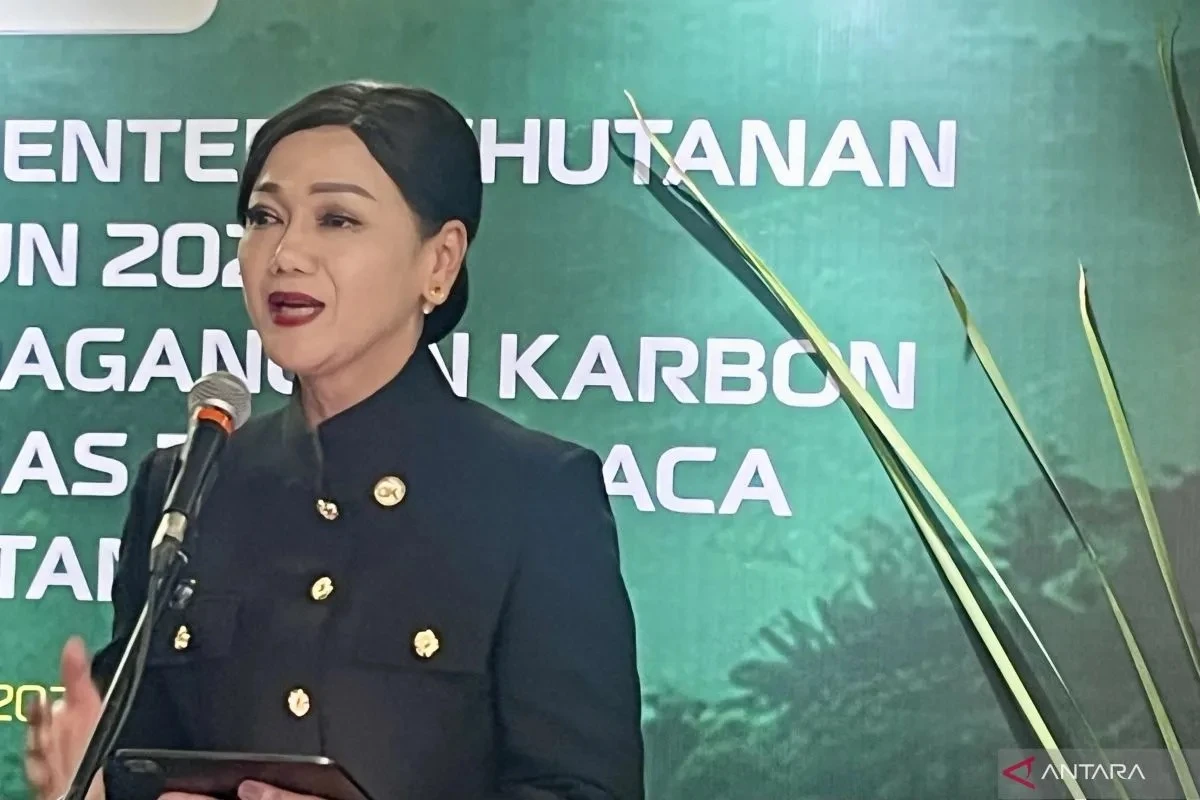 Gandeng BEI, OJK Kembangkan Sistem Pendukung Perdagangan Karbon Indonesia