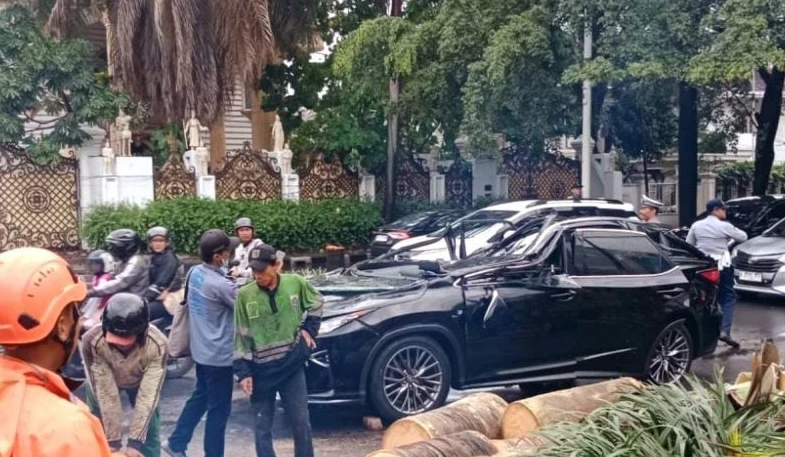 Pengemudi Lexus Tewas Tertimpa Pohon di Pondok Indah