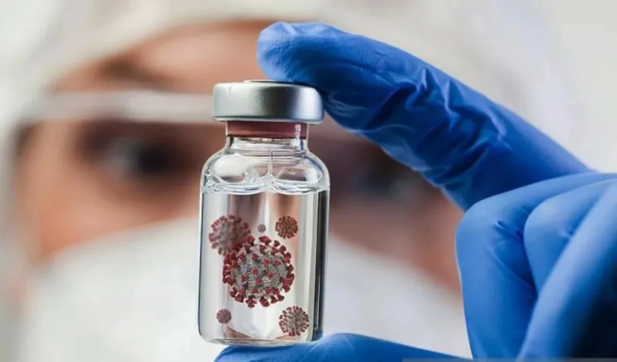 Mengenal Virus Nipah: Asal Mula, Cara Penularan, dan Gejalanya bagi Manusia