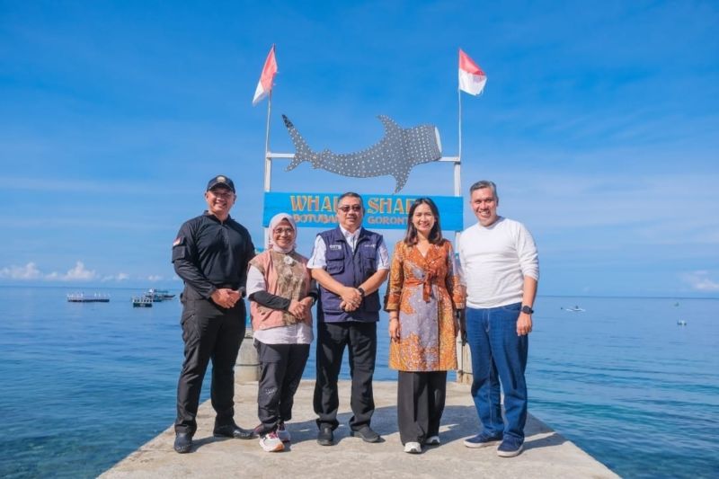 Hiu Paus Gorontalo: Pesona Botubarani yang Jadi Ikon Wisata Bahari