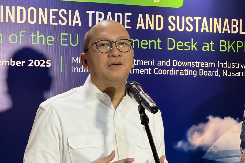 Freeport Setuju Lepas 12% Saham ke Indonesia, Saham Negara Naik Jadi 63%