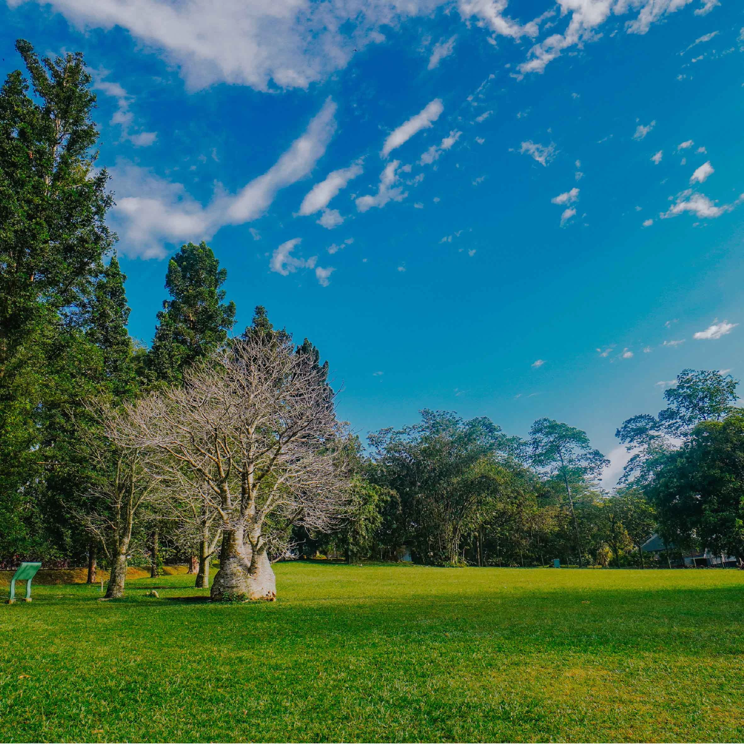 Libur Lebaran di Bogor? Ini 7 Rekomendasi Tempat Wisata Seru yang Wajib Dikunjungi