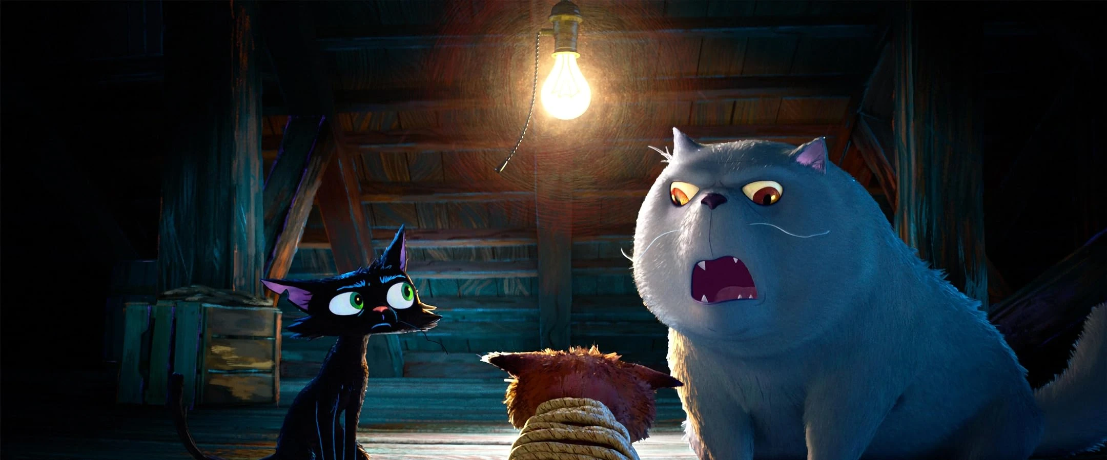 Gatto Pixar: Sinopsis, Pemeran, dan Tanggal Rilis