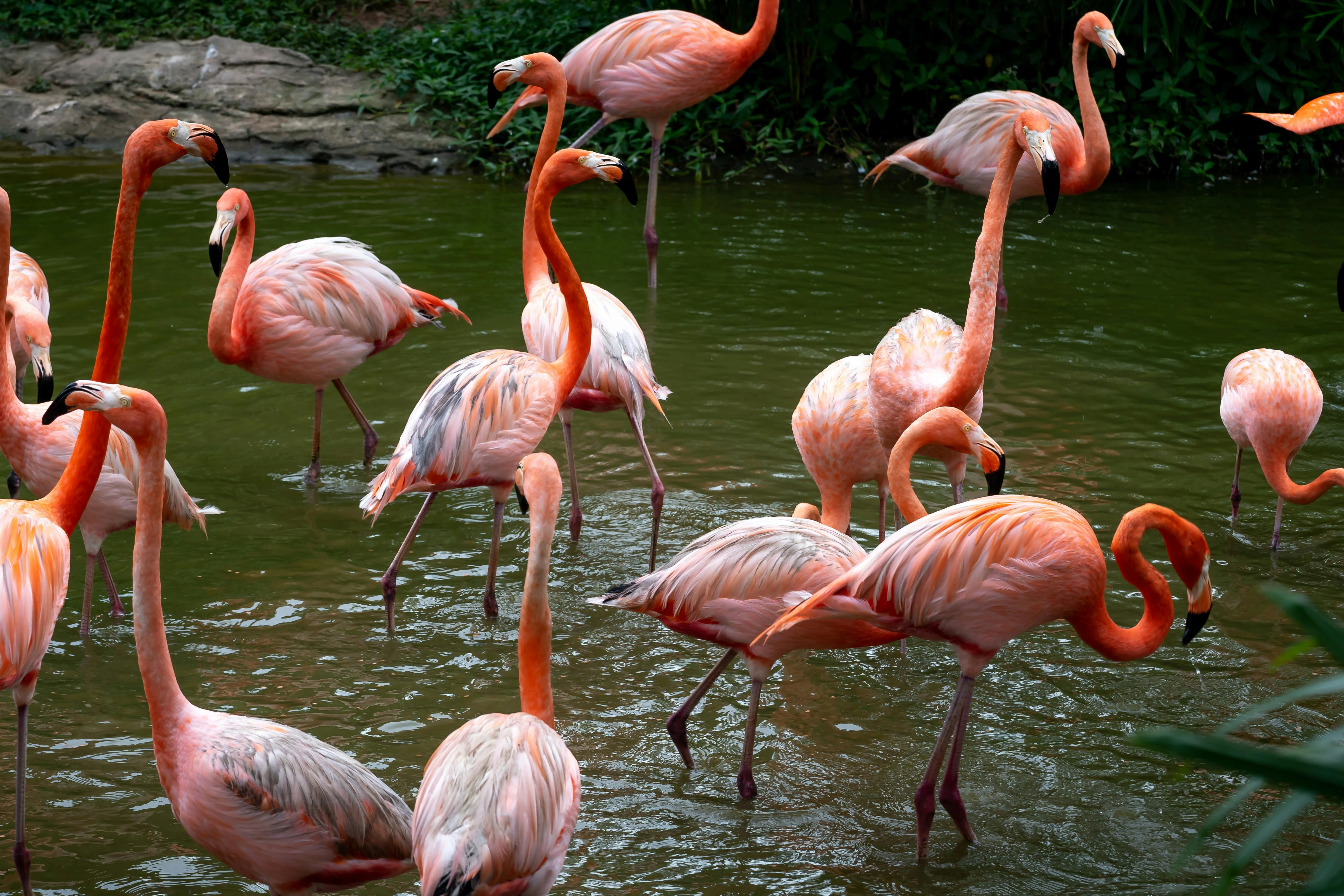 Apa Itu Flamingo Era? Masa Transisi Perjalanan Perempuan Saat Memasuki Peran Ibu