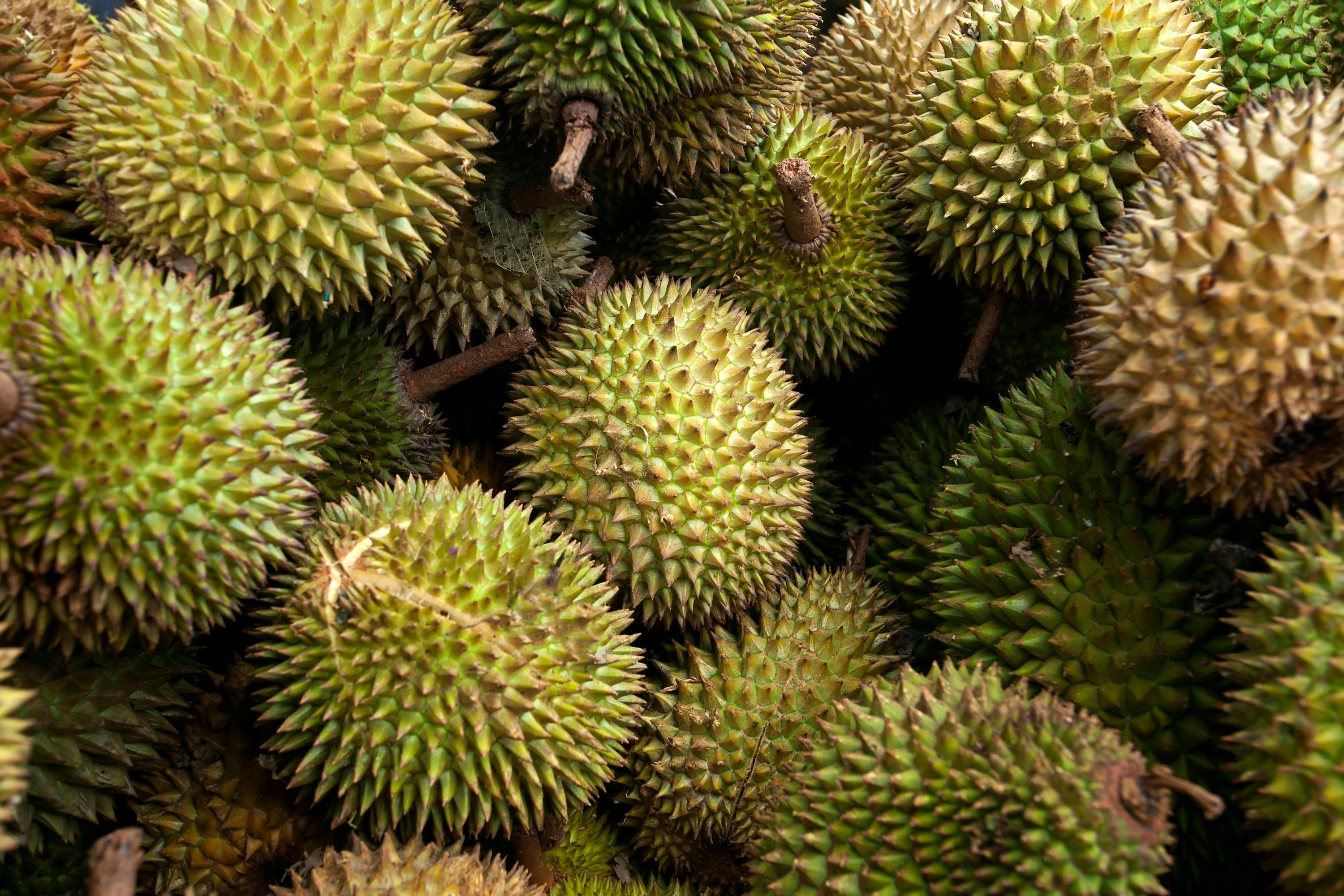 ‘Si Raja Buah’ Durian Bakal Jadi Ikon Negara Malaysia