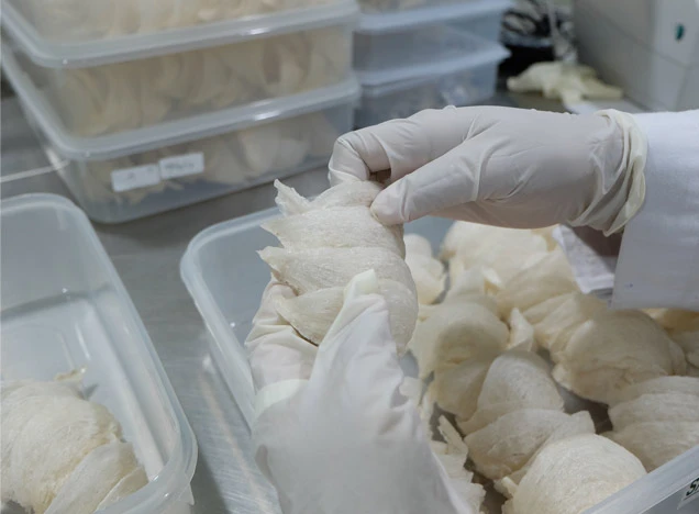 Abadi Lestari Indonesia (RLCO) Baru Pakai Rp10 Miliar Dana IPO, Untuk Apa Saja?