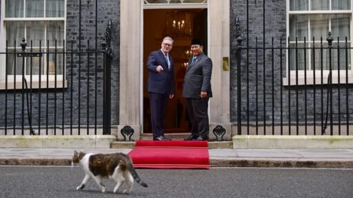 Diplomasi Hangat di London: Larry the Cat Turut Sambut Presiden Prabowo di Downing Street