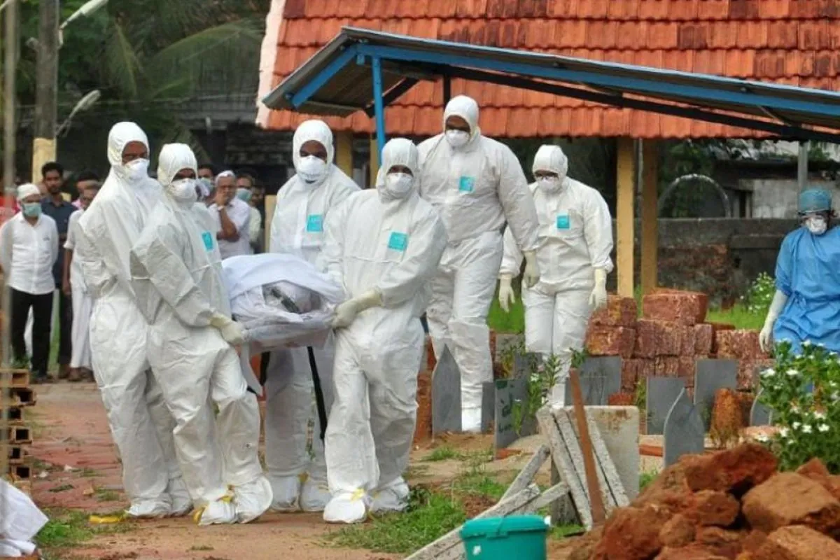 Kasus Virus Nipah Kembali Dilaporkan di Asia, Kenali Gejala dan Risikonya