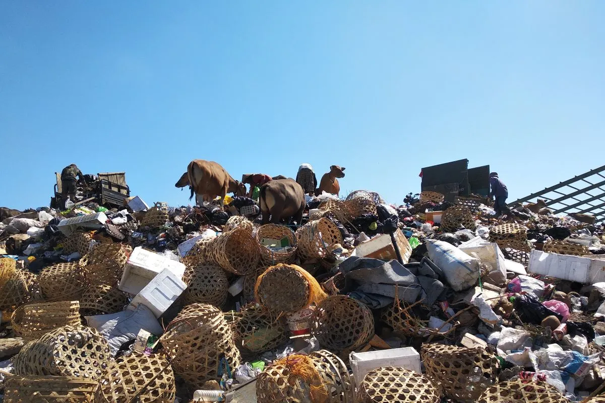 Krisis Sampah Gili Trawangan, Investor Pengelola Limbah Malah Dipersulit