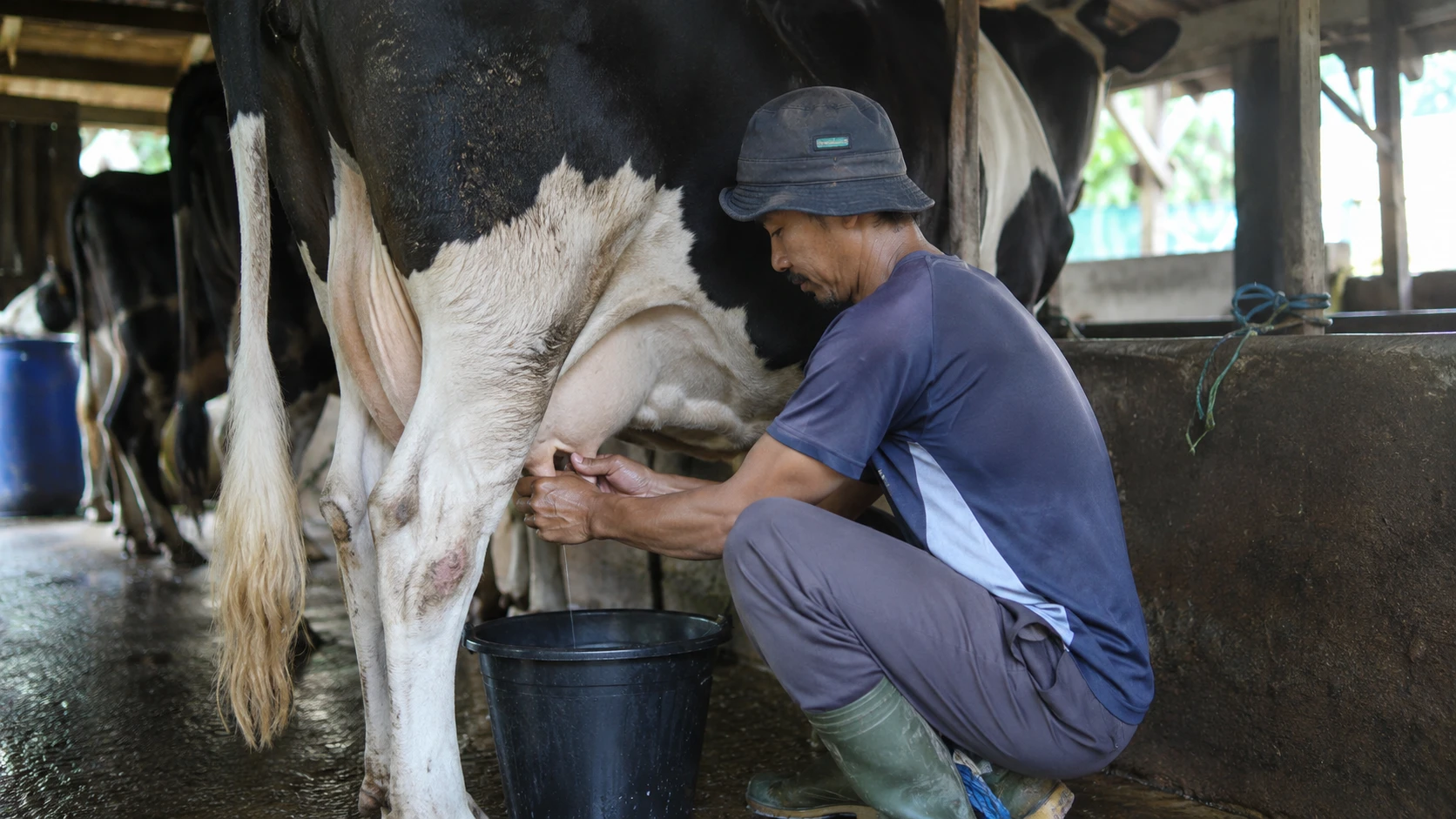 Kemenperin Perkuat Industri Susu Nasional dengan Hilirisasi