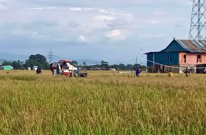 Apa Itu Godzilla El Nino? Fenomena Cuaca yang Mengancam Ketahanan Pangan Indonesia