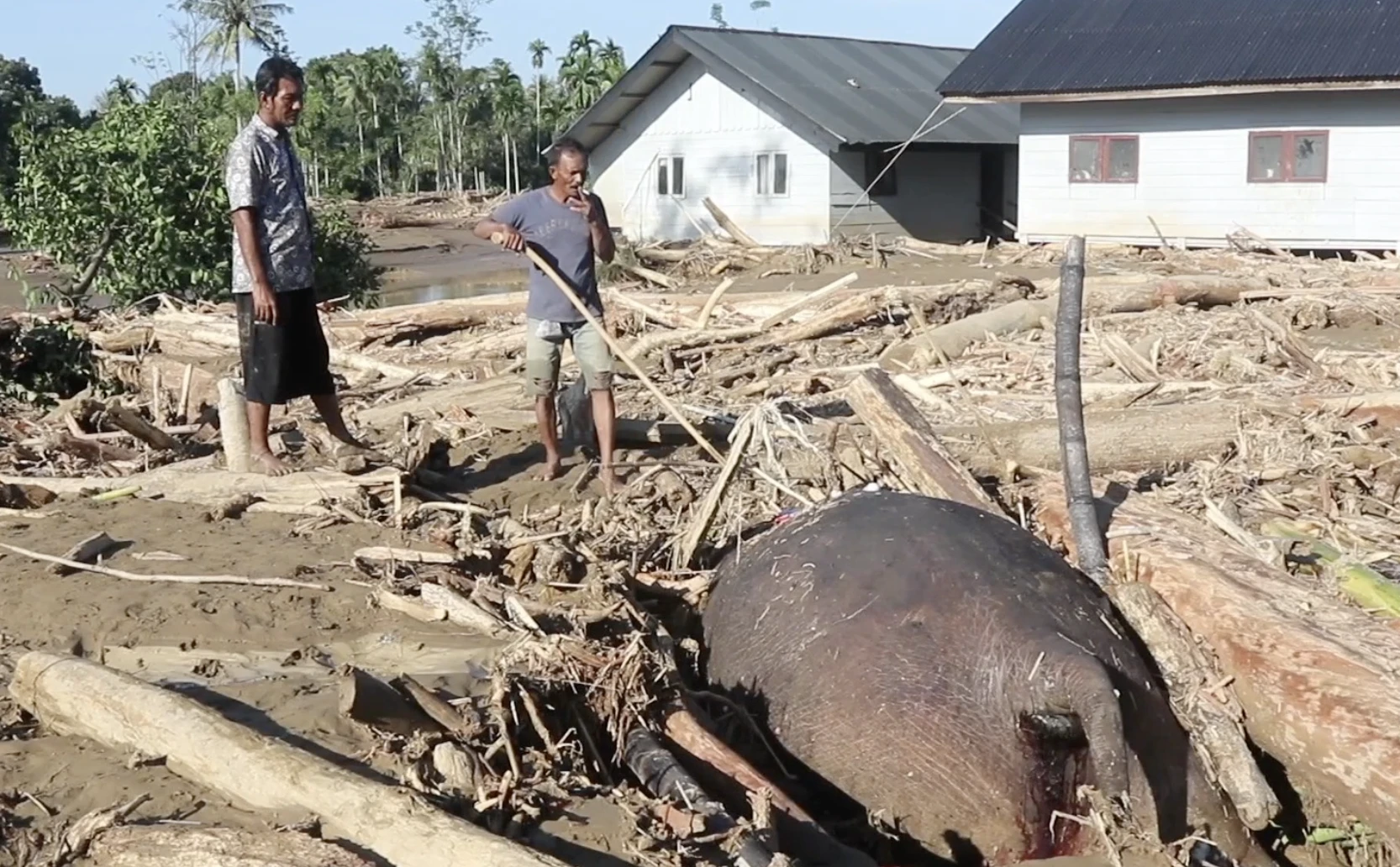 Update Bencana Sumatra: 1.030 Meninggal Dunia dan 212 Orang Masih Hilang