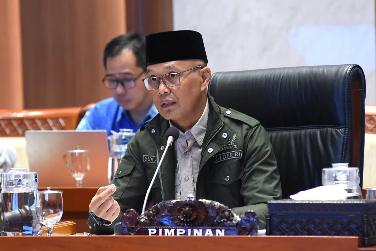 WNI Ditangkap Militer Israel, Pimpinan Komisi I Desak Pemerintah Lobi DK PBB