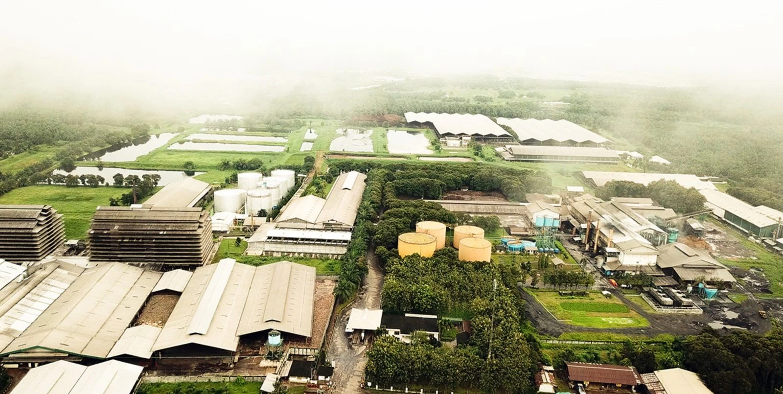 Pinago Utama (PNGO) Tebar Dividen Interim Kedua Rp90 per Saham, Cek Jadwalnya